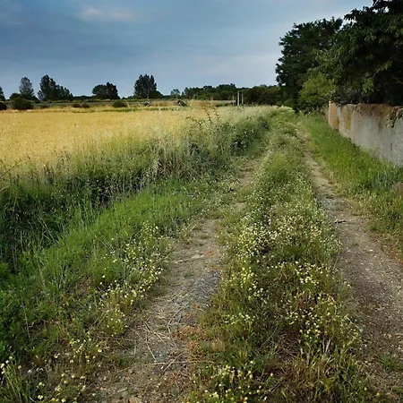 Señorío De Bazán 2*