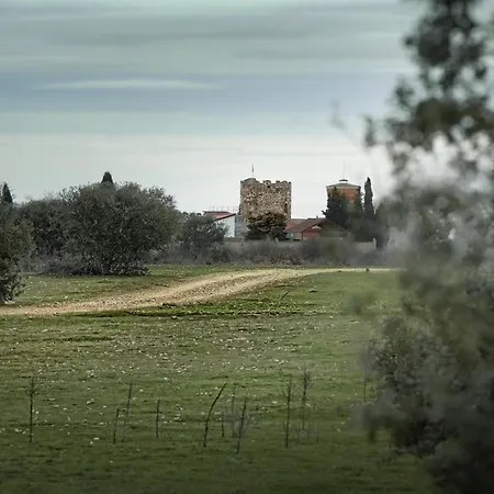 Señorío De Bazán Hotel Palacios De La Valduerna