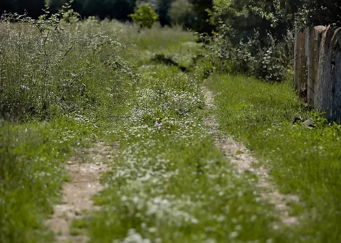 Senorio De Bazan Hotel Palacios De La Valduerna