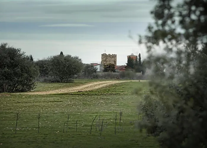 Senorio De Bazan Hotel Palacios De La Valduerna